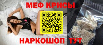 стаф Гатчина