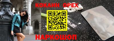 стаф Гатчина