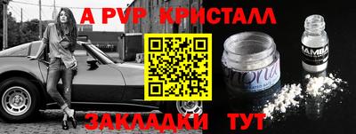 стаф Гатчина
