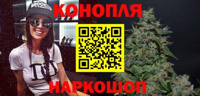 стаф Гатчина