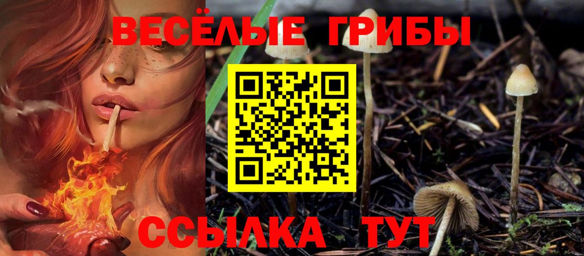 Керчь  Псилоцибиновые грибы прущие грибы  Вход с VPN 