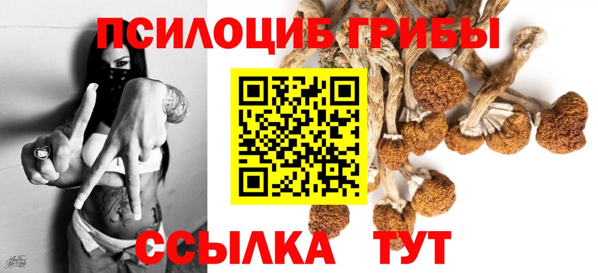 Галлюциногенные грибы ЛСД Керчь